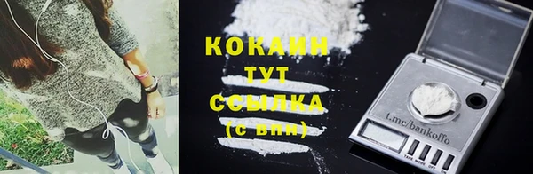 СК Сафоново