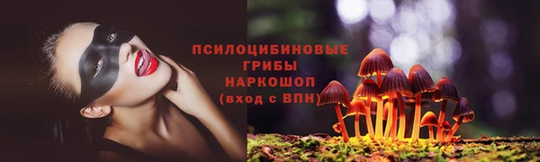 СК Сафоново