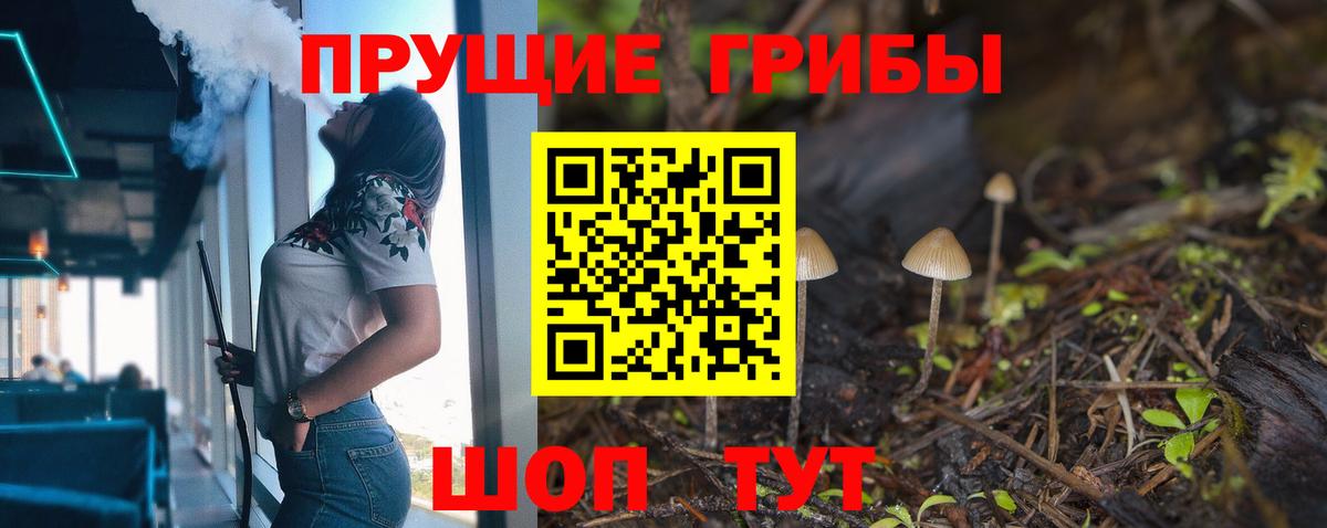 Псилоцибиновые грибы GOLDEN TEACHER Саяногорск